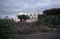 Spanien-Kanarische-Lanzarote-La-Geria-199411-173.jpg
