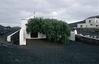 Spanien-Kanarische-Lanzarote-La-Geria-199411-178.jpg