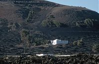 Spanien-Kanarische-Lanzarote-La-Geria-199411-180.jpg