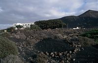 Spanien-Kanarische-Lanzarote-La-Geria-199411-181.jpg