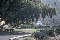 Spanien-Kanarische-Lanzarote-La-Geria-199411-184.jpg