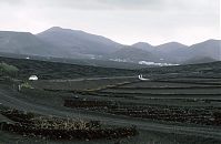 Spanien-Kanarische-Lanzarote-La-Geria-199411-187.jpg
