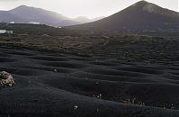Spanien-Kanarische-Lanzarote-La-Geria-199411-189.jpg