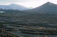 Spanien-Kanarische-Lanzarote-La-Geria-199411-190.jpg