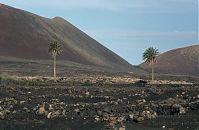 Spanien-Kanarische-Lanzarote-La-Geria-199411-197.jpg