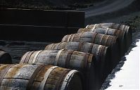 Spanien-Kanarische-Lanzarote-La-Geria-199511-106.jpg