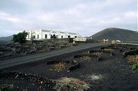 Spanien-Kanarische-Lanzarote-La-Geria-199511-109.jpg