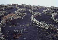 Spanien-Kanarische-Lanzarote-LaGeria-199202-178.jpg
