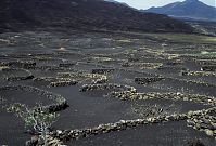 Spanien-Kanarische-Lanzarote-LaGeria-199202-183.jpg