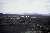 Spanien-Kanarische-Lanzarote-LaGeria-199202-185.jpg