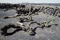 Spanien-Kanarische-Lanzarote-LaGeria-199202-192.jpg