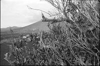 Dateiname=Spanien-Kanarische-Lanzarote-LaGeria-199511-016.jpg
Dateigröße=232KB
Abmessungen: 880x580
hinzugefügt am: 05. Januar 2016 Spanien-Kanarische-Lanzarote-LaGeria-199511-016.jpg