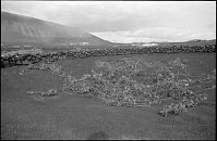 Dateiname=Spanien-Kanarische-Lanzarote-LaGeria-199511-018.jpg
Dateigröße=179KB
Abmessungen: 880x573
hinzugefügt am: 05. Januar 2016 Spanien-Kanarische-Lanzarote-LaGeria-199511-018.jpg