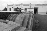 Spanien-Kanarische-Lanzarote-LaGeria-199511-024.jpg
