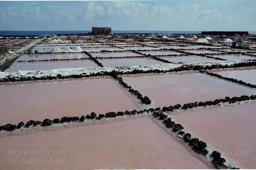 Lanzarote. Saline in Los Cocoteros.  Meersalzgewinnung.
1993. Spanien. Kanarische Inseln. Lanzarote. Saline in Los Cocoteros. Meersalzgewinnung. - Spain. Canary Islands. España. Islas Canarias
Schlüsselwörter: 1993;Canary Islands;España;Islas Canarias;Kanarische Inseln;Lanzarote;Los Cocoteros;Meersalzgewinnung;Saline;Spain;Spanien
