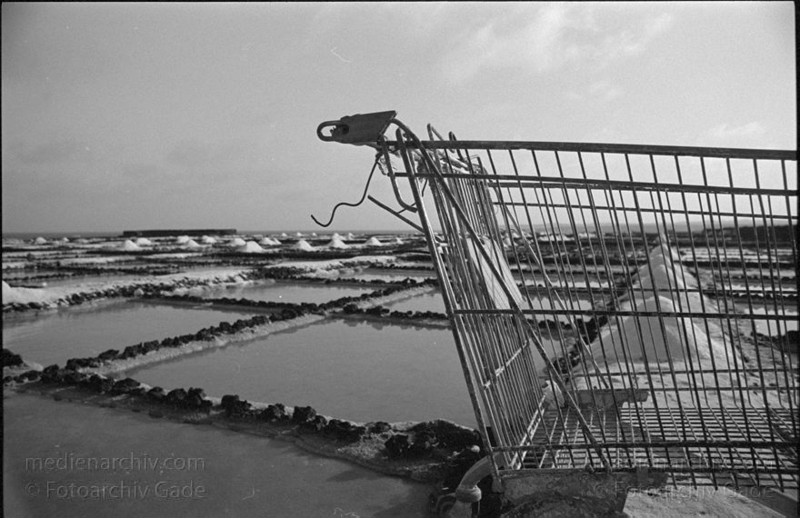 Lanzarote. Saline in Los Cocoteros.  Meersalzgewinnung.
November 1995. Spanien. Kanarische Inseln. Lanzarote. Saline in Los Cocoteros. Meersalzgewinnung. - Spain. Canary Islands. España. Islas Canarias
Schlüsselwörter: 1995;Canary Islands;España;Islas Canarias;Kanarische Inseln;Lanzarote;Los Cocoteros;Meersalzgewinnung;Saline;Spain;Spanien