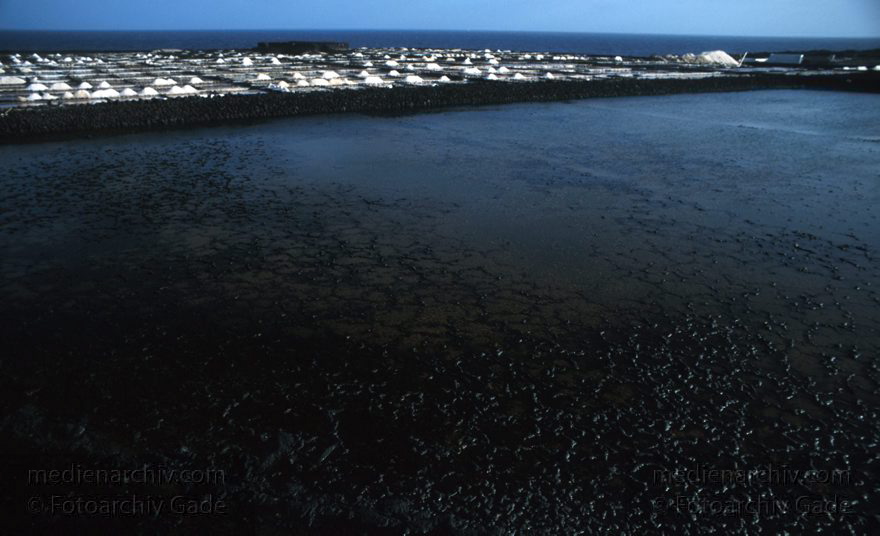 April 1995. Spanien. Kanarische Inseln. Lanzarote. Saline in Los Cocoteros. Meersalzgewinnung.
Schlüsselwörter: 1995;Kanarische Inseln;La Graciosa;Lanzarote;Meersalz;Saline;Salz;Spanien