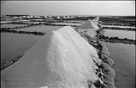 Spanien-Kanarische-Lanzarote-Los-Cocoteros-199511-036.jpg