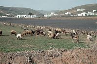 Spanien-Kanarische-Lanzarote-VaL-1992-133.jpg