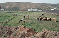 Spanien-Kanarische-Lanzarote-VaL-1992-135.jpg