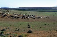 Spanien-Kanarische-Lanzarote-VaL-1993-10.jpg