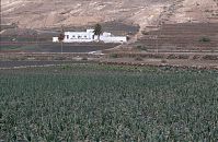 Spanien-Kanarische-Lanzarote-VaL-199504-139.jpg