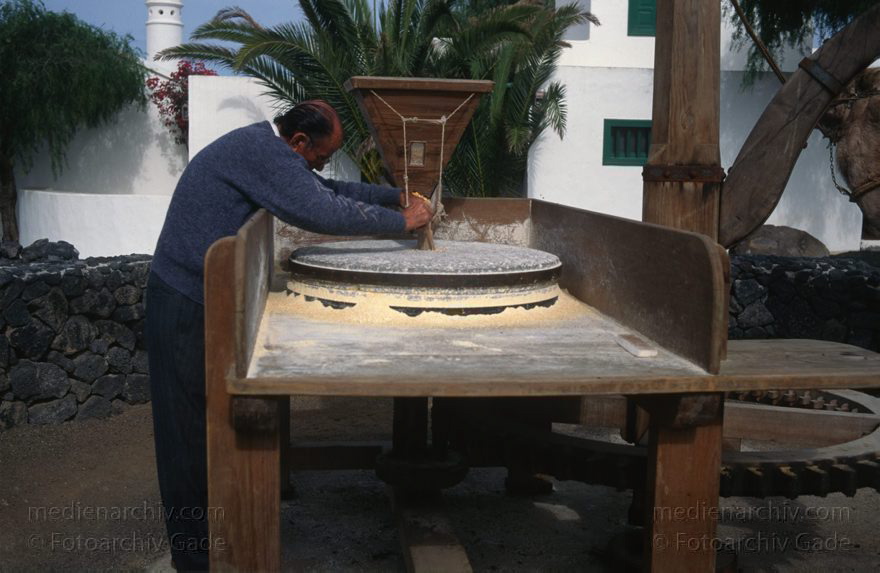 Lanzarote. Mozaga. Ein Kamel treibt eine traditionelle Getreidemühle an.
November 1995. Spanien. Kanarische Inseln. Lanzarote. Mozaga. Ein Kamel treibt eine traditionelle Getreidemühle an. Historische Rekonstruktion als Sehenswürdigkeit
Schlüsselwörter: 1995;canarias;Canary Islands;Getreidemühle;Kamel;Kanarische Inseln;Lanzarote;Mozaga;Spain;Spanien