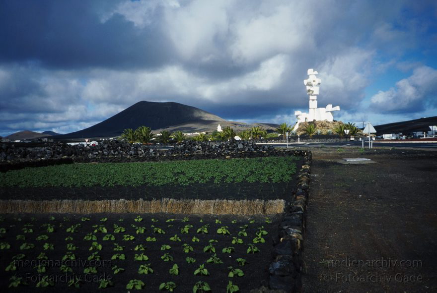 Spanien Kanarische Inseln. Lanzarote. Monumento del Campesino. Mozaga
Dezember 1996. Spanien Kanarische Inseln. Lanzarote. Monumento del Campesino. Mozaga
Schlüsselwörter: 1996;Canary Islands;Espana;Islas Canarias;Kanarische Inseln;Lanzarote;Mozaga;Spain;Spanien