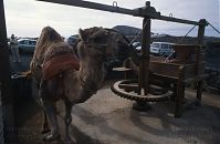 Dateiname=Spanien-Kanarische-Lanzarote-199511-005.jpg
Dateigröße=147KB
Abmessungen: 880x573
hinzugefügt am: 05. Januar 2016 Spanien-Kanarische-Lanzarote-199511-005.jpg