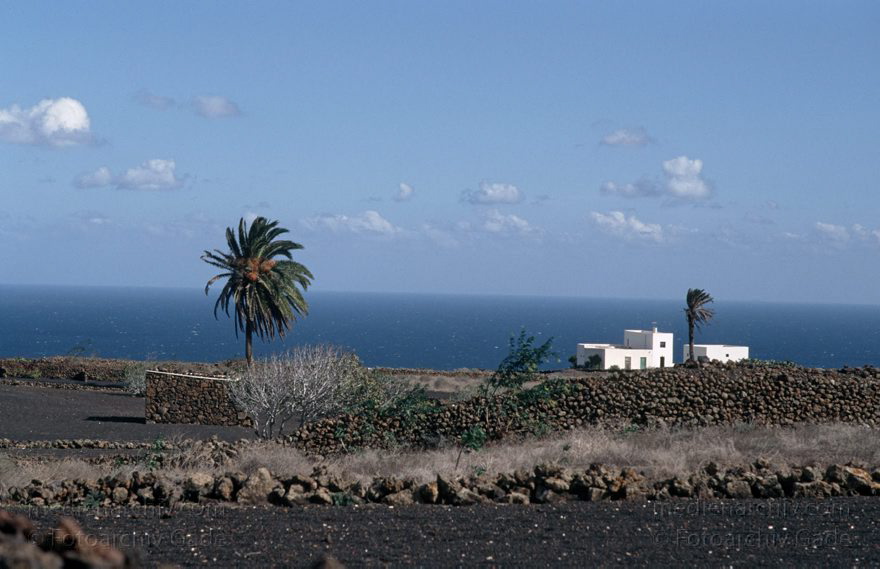 Lanzarote. Im Norden beim Mirador del Rio. Küste. Meer. Baum. Palme
April 1995. Spanien. Kanarische Inseln. Lanzarote. Nordteil der Insel. Küste. Meer. Atlantik. Baum. Palmen
Schlüsselwörter: 1995;Atlantik;Baum;canarias;Canary Islands;Kanarische Inseln;Küste;Lanzarote;Meer;Norden;Palmen;Spain