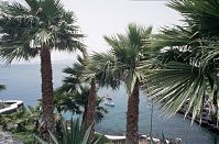 Spanien-Kanarische-Lanzarote-Puerto-del-Carmen-199406-270.jpg