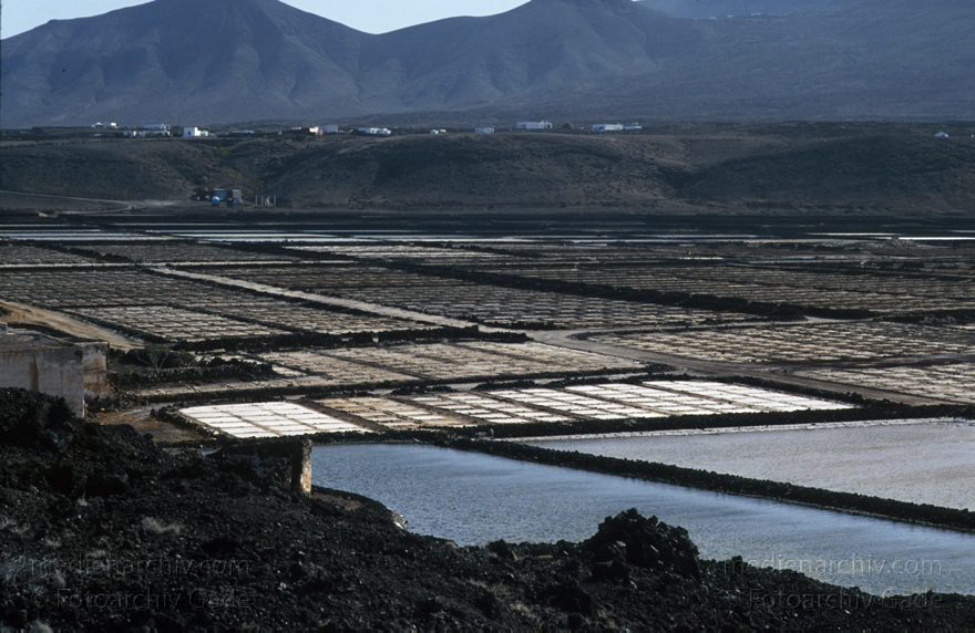 Lanzarote. Salina del Janubio. Salzgewinnung. Meersalz. Saline
November 1994. Spanien. Kanarische Inseln. Lanzarote. Salina del Janubio. Salzgewinnung. Meersalz. Saline
Schlüsselwörter: 1994;Canary Islands;Espana;Islas Canarias;Kanarische Inseln;Lanzarote;Meersalzgewinnung;Salina del Janubio;Saline;Salzgewinnung;Spain;Spanien