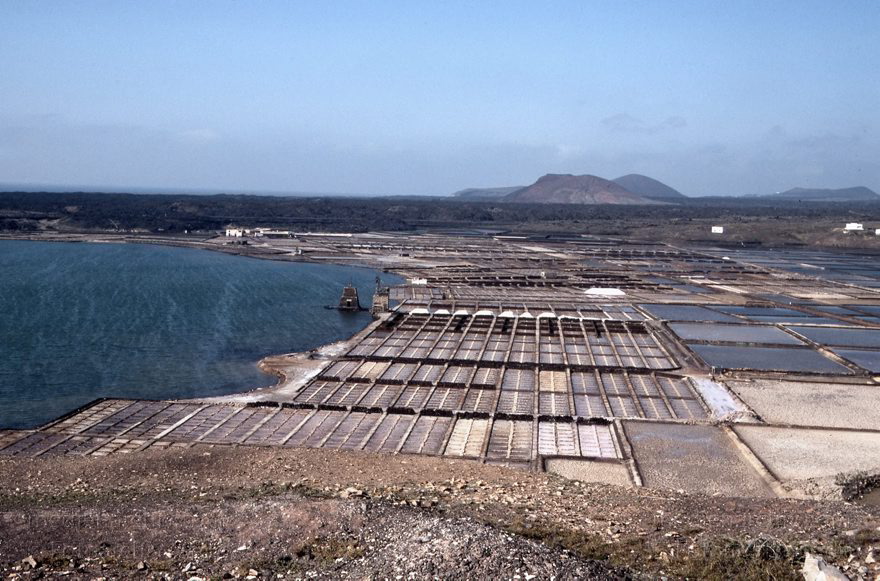 199x.  Lanzarote. Salina del Janubio. Salzgewinnung. Meersalz. Saline
199x. Spanien. Kanarische Inseln. Lanzarote. Salina del Janubio. Salzgewinnung. Meersalz. Saline
Schlüsselwörter: 199x;Canary Islands;Espana;Islas Canarias;Kanarische Inseln;Lanzarote;Meersalzgewinnung;Salina del Janubio;Saline;Salzgewinnung;Spain;Spanien