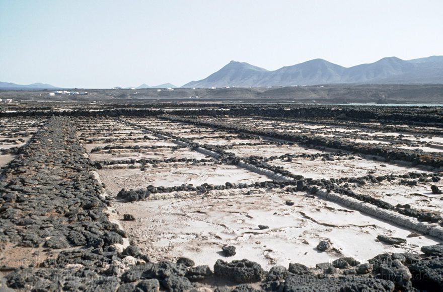 199x.  Lanzarote. Salina del Janubio. Salzgewinnung. Meersalz. Saline
199x. Spanien. Kanarische Inseln. Lanzarote. Salina del Janubio. Salzgewinnung. Meersalz. Saline
Schlüsselwörter: 199x;Canary Islands;Espana;Islas Canarias;Kanarische Inseln;Lanzarote;Meersalzgewinnung;Salina del Janubio;Saline;Salzgewinnung;Spain;Spanien