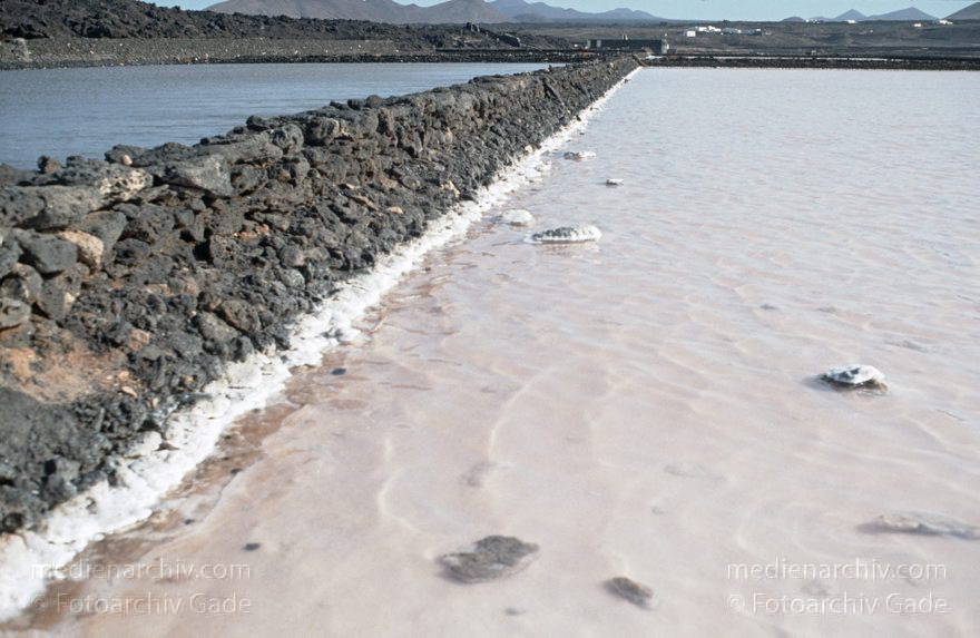 199x.  Lanzarote. Salina del Janubio. Salzgewinnung. Meersalz. Saline
199x. Spanien. Kanarische Inseln. Lanzarote. Salina del Janubio. Salzgewinnung. Meersalz. Saline
Schlüsselwörter: 199x;Canary Islands;Espana;Islas Canarias;Kanarische Inseln;Lanzarote;Meersalzgewinnung;Salina del Janubio;Saline;Salzgewinnung;Spain;Spanien