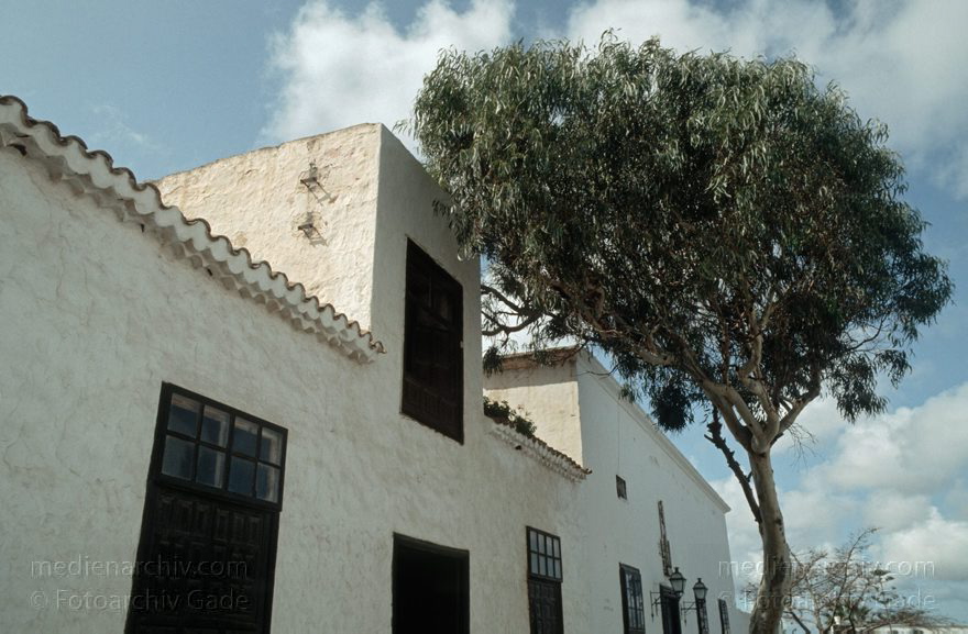 Lanzarote. Teguise
1992. Spanien. Kanarische Inseln. Lanzarote.  Teguise
Schlüsselwörter: 1992;Canary Islands;Espana;Islas Canarias;Kanarische Inseln;Lanzarote;Spain;Spanien;Teguise