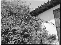 Dateiname=Spanien-Kanarische-Lanzarote-Teguise-19920228-036.jpg
Dateigröße=331KB
Abmessungen: 880x652
hinzugefügt am: 05. Januar 2016 Spanien-Kanarische-Lanzarote-Teguise-19920228-036.jpg