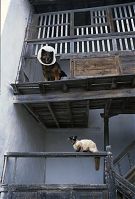 Spanien-Kanarische-Lanzarote-Teguise-199504-409.jpg