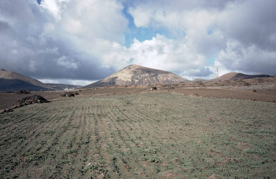 Lanzarote. Landwirtschaft. Felder. Gemüseanbau
1996. Spanien. Kanarische Inseln. Lanzarote. Landwirtschaft. Felder. Gemüseanbau
Schlüsselwörter: 1996;Felder;Kanarische Inseln;Landwirtschaft;Lanzarote;Spanien