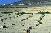 Dateiname=Spanien-Kanarische-Lanzarote-Famara-199311-02.jpg
Dateigröße=310KB
Abmessungen: 880x576
hinzugefügt am: 05. Januar 2016 Spanien-Kanarische-Lanzarote-Famara-199311-02.jpg