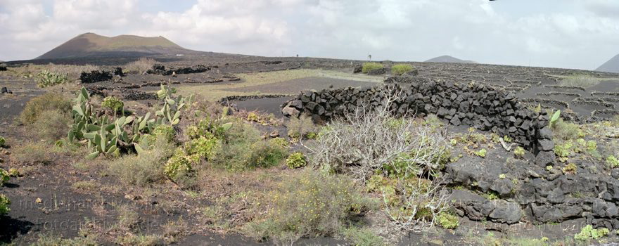 Lanzarote. Feuerberge. Lava. Panorama
März 1992. Spanien. Kanarische Inseln. Lanzarote. Feuerberge. Lava. Panorama
Schlüsselwörter: 1992;Canary Islands;Feuerberge;Lanzarote;Lava;Montanas del Fuego;Spain;Spanien