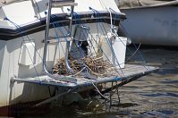 Vogel-Blesshuhn-20120609-54.jpg