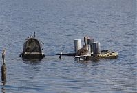 Dateiname=Vogel-Gans-20140412-165.jpg
Dateigröße=189KB
Abmessungen: 880x596
hinzugefügt am: 06. Januar 2016 Vogel-Gans-20140412-165.jpg
