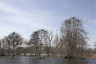 Dateiname=Vogel-Graureiher-Kolonie-20130421-179.jpg
Dateigröße=205KB
Abmessungen: 880x584
hinzugefügt am: 06. Januar 2016 Vogel-Graureiher-Kolonie-20130421-179.jpg