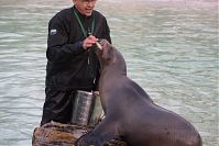Robbe-Seeloewe-20151203-48.jpg