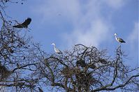 Dateiname=Vogel-Graureiher-20140207-037.jpg
Dateigröße=262KB
Abmessungen: 880x584
hinzugefügt am: 06. Januar 2016 Vogel-Graureiher-20140207-037.jpg
