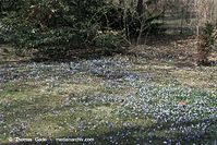 Flora-Blaustern-20100402-064.jpg