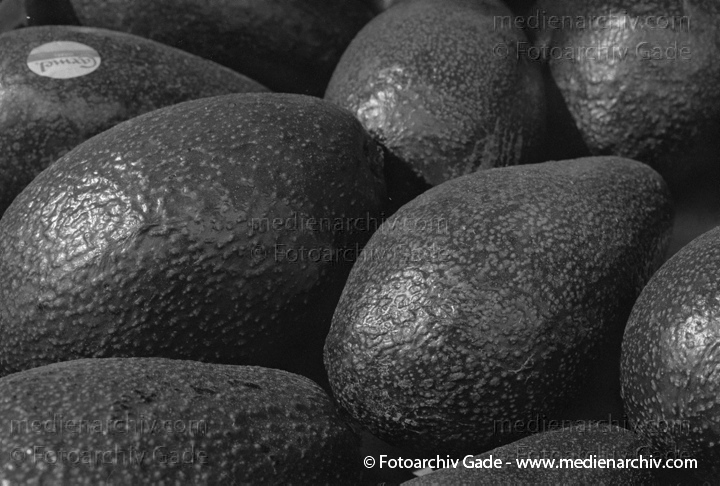 Avodado
Avocado (Persea americana).   Lorbeergewächse (Lauraceae).
Schlüsselwörter: 1997;Avocado;Flora;Gemüse;Natur;Pflanzen;plants