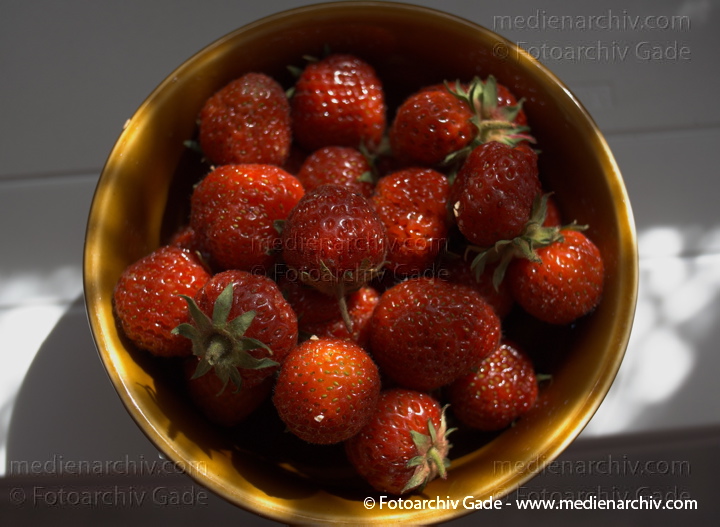 Erdbeeren (Fragaria)
10. Juni 2008. Mecklenburg-Vorpommern. Feldberger Seenlandschaft. Carwitz
Schlüsselwörter: 2008;Carwitz;Erdbeeren;Feldberger Seenlandschaft;Flora;Fragaria;Mecklenburg-Vorpommern;Natur;Obst;Pflanzen;plants