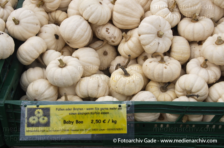 Kürbisse (Cucurbita)
4. 11. 2012. Brandenburg.Linum. Hofladen. Kürbisse
Schlüsselwörter: 2012;Brandenburg;Cucurbita;Flora;Gemüse;Hofladen;Kürbisse;Linum;Natur;Pflanzen;plants